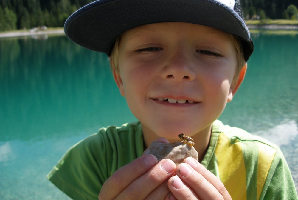 p8090016.jpg p8090016.jpg