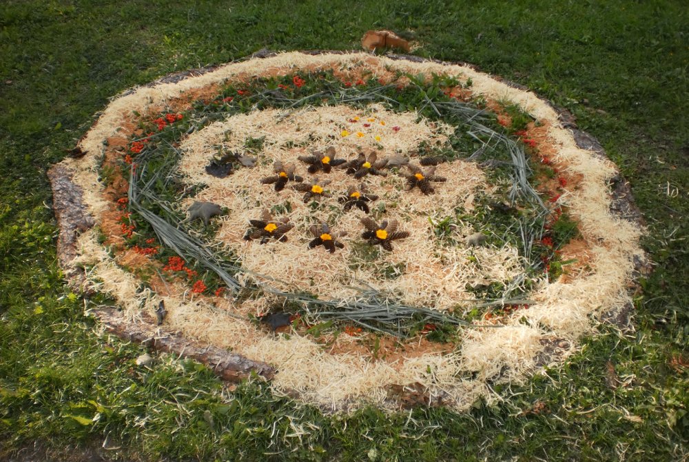 p1010008.jpg p1010008.jpg