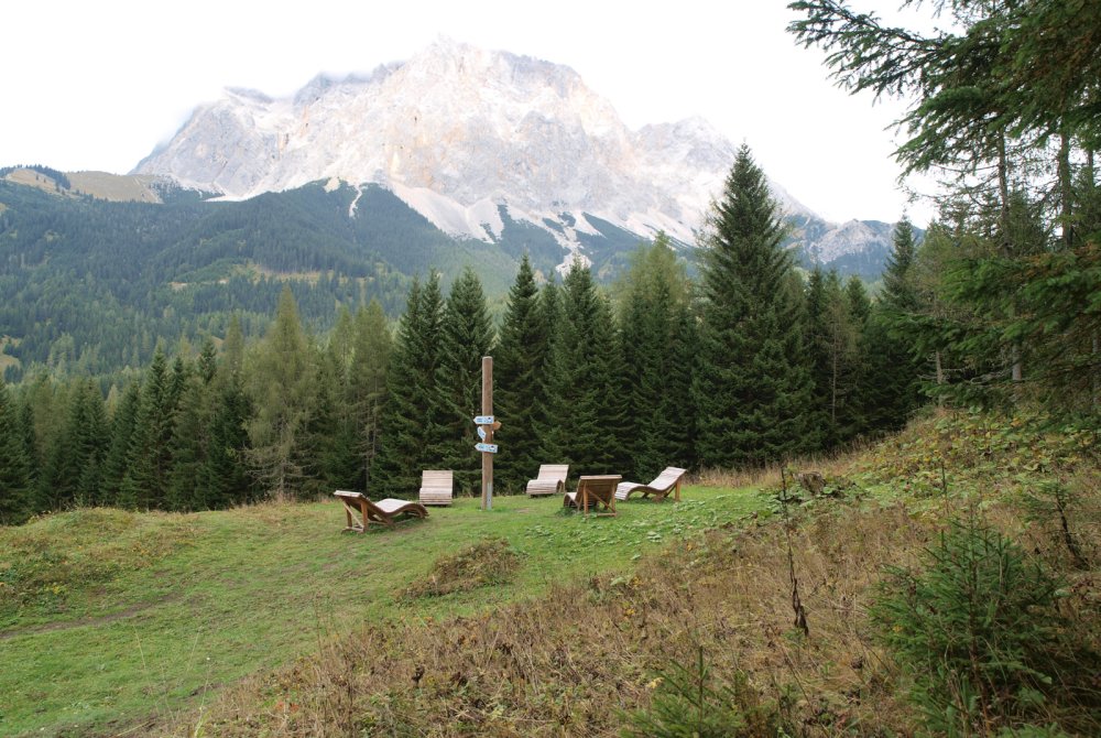 p9299269.jpg p9299269.jpg