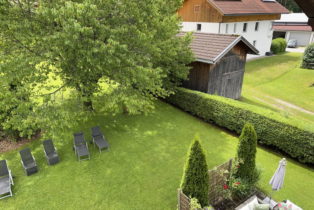 img_5400_2024-06-23_10_56_33_1.jpg img_5400_2024-06-23_10_56_33_1.jpg